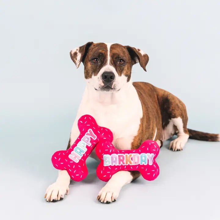 My Dog's Birthday Party Supplies - Fun & Festive Dog Birthday Decorations for Puppy Celebrations
