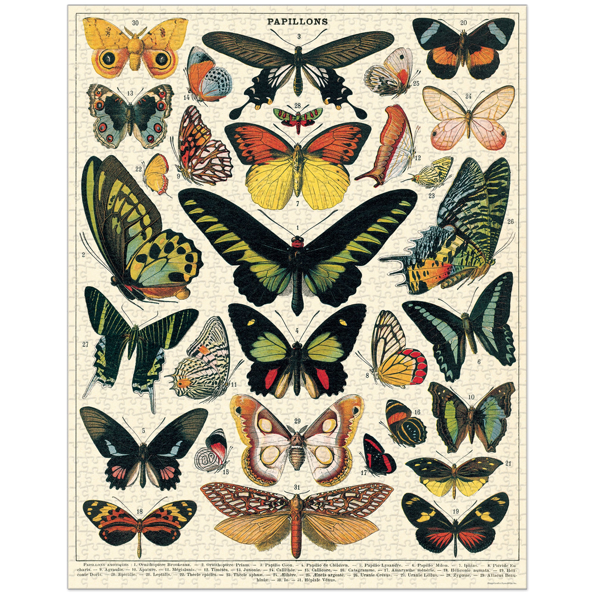 1,000 Piece Jigsaw Puzzle - Beautiful Butterfly Landscape - Perfect for Adults, Family Bonding & Stress Relief