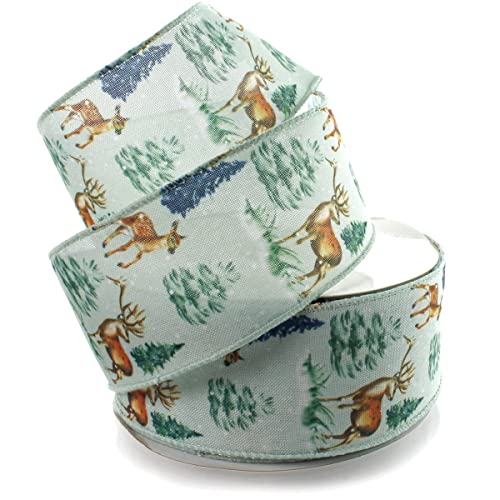 Winter Woods - Deer