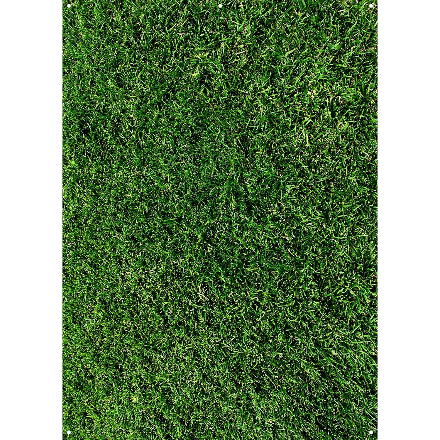 X Drop Canvas Backdrop - Green Grass (5' x 7') | Photography Background for Portraits, Events & Studio Shoots | Durable & Wrinkle-Resistant