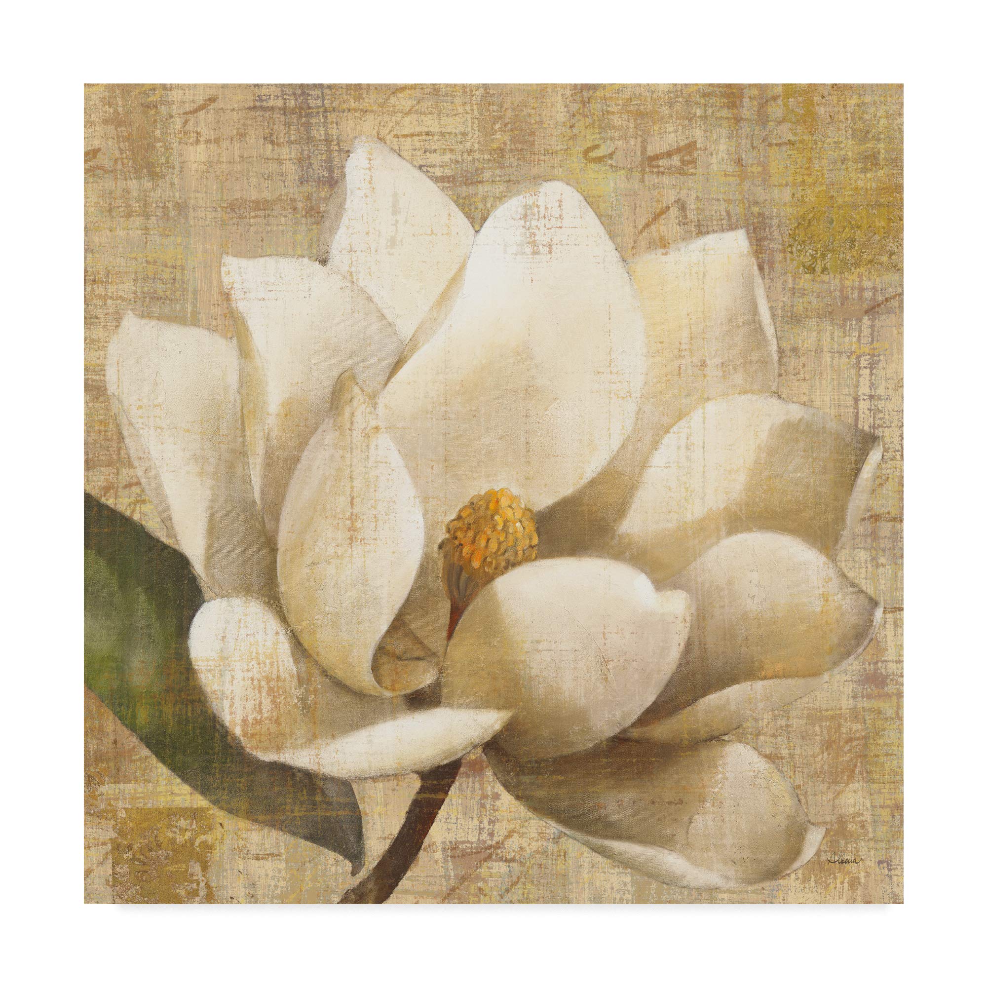 Trademark Fine Art Magnolia Blossom on Script by Albena Hristova - 18x18 Inch Floral Wall Art - Perfect for Living Room, Bedroom & Office Decor