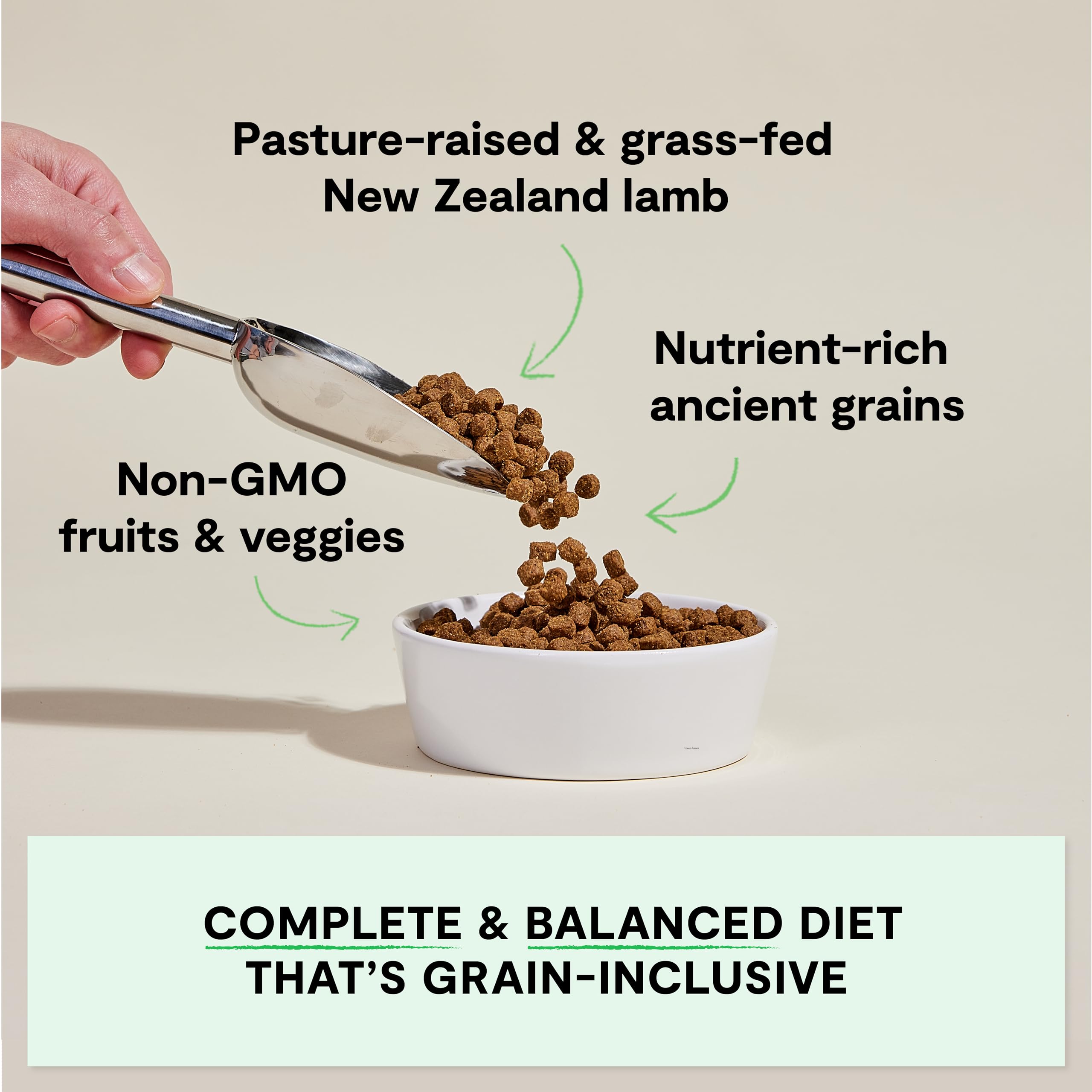 Open Farm Ancient Grains Dry Dog Food - High Protein Lamb Recipe with Non-GMO Superfoods, Pasture-Raised Meat & Nutrient-Dense Ingredients for Adult Dogs (11lb Bag) | Ideal for Active Dogs & Sensitive Stomachs