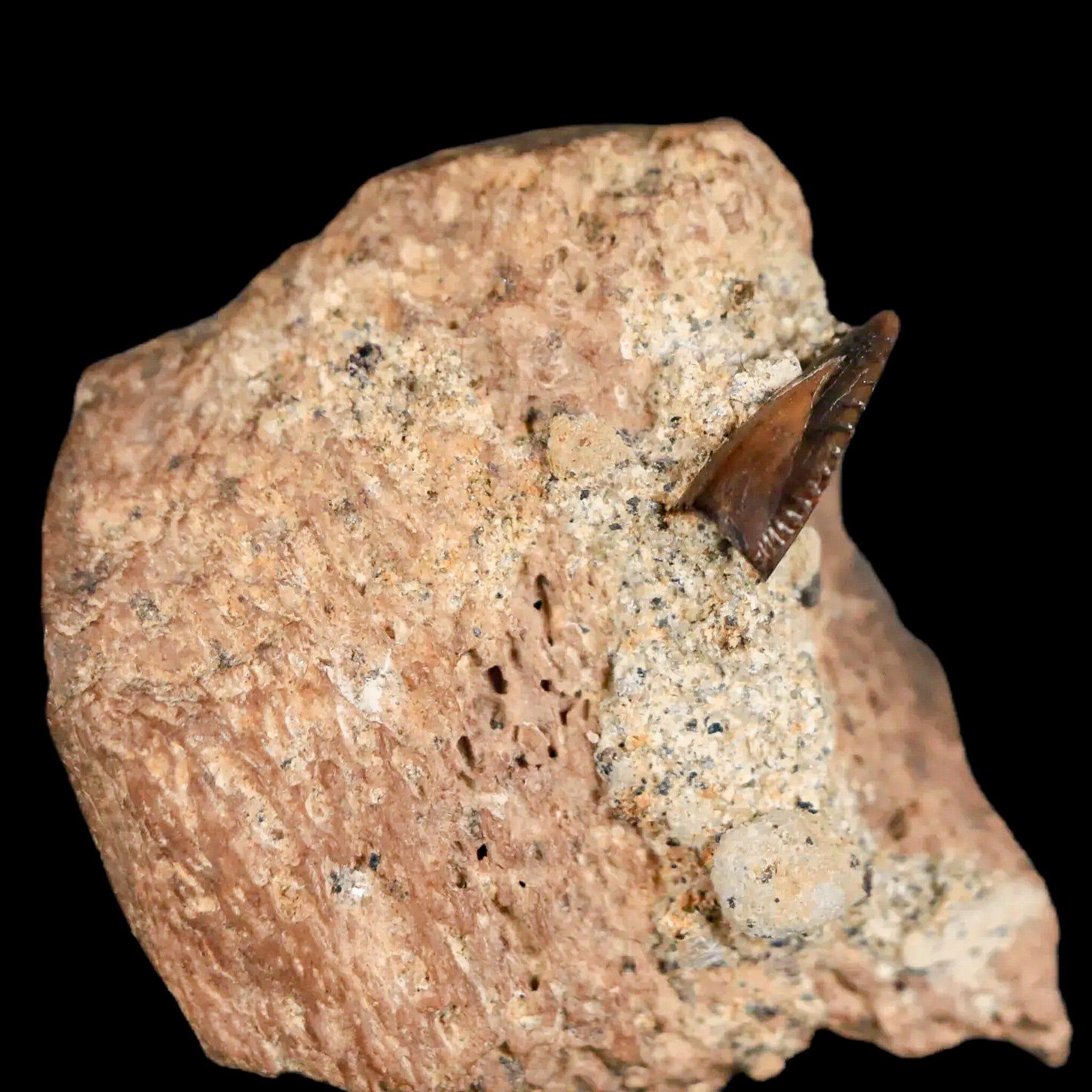 0.3