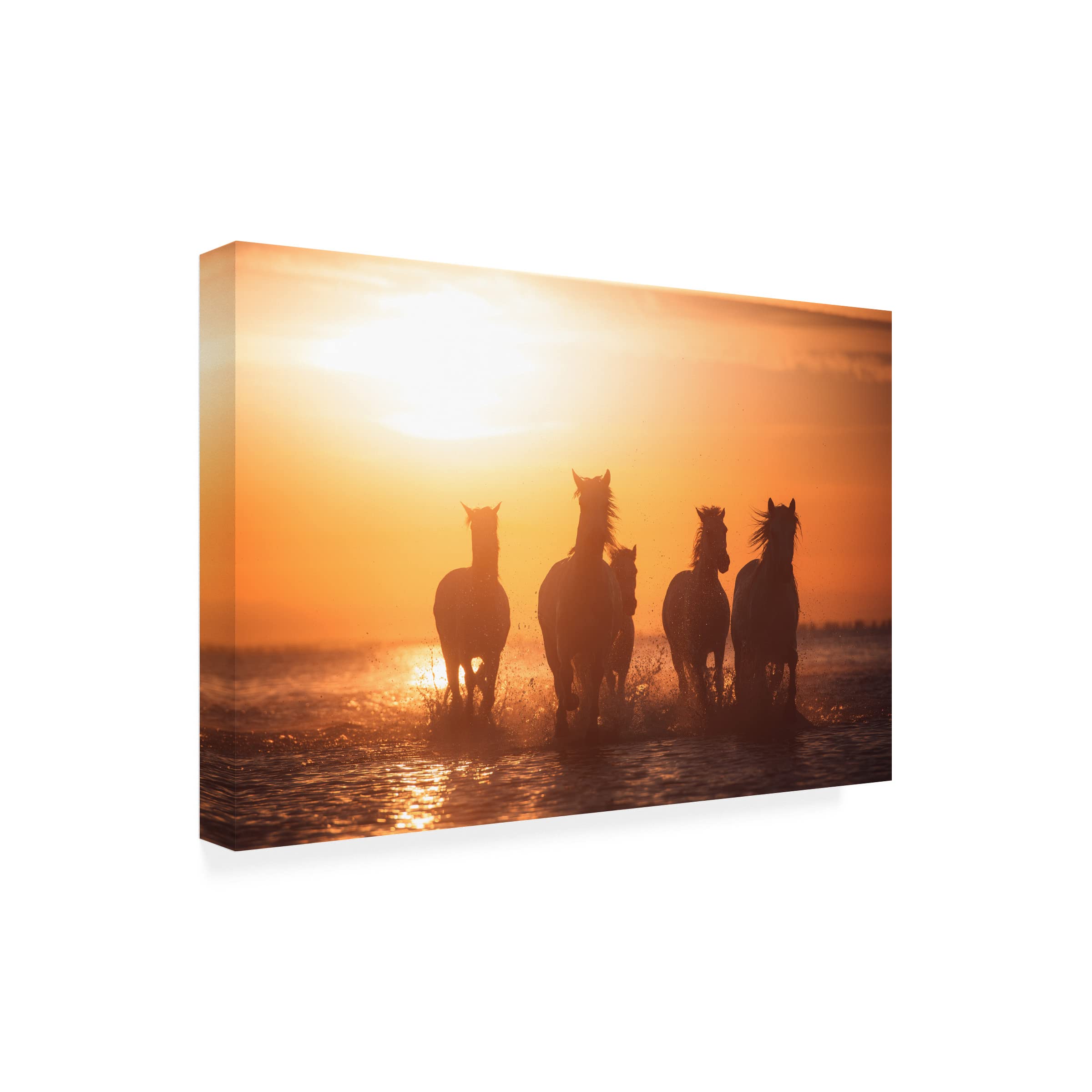 Trademark Fine Art 'Camargue Angels' Canvas Wall Art Print by Rostovskiy Anton - Perfect for Living Room, Bedroom & Office Decor