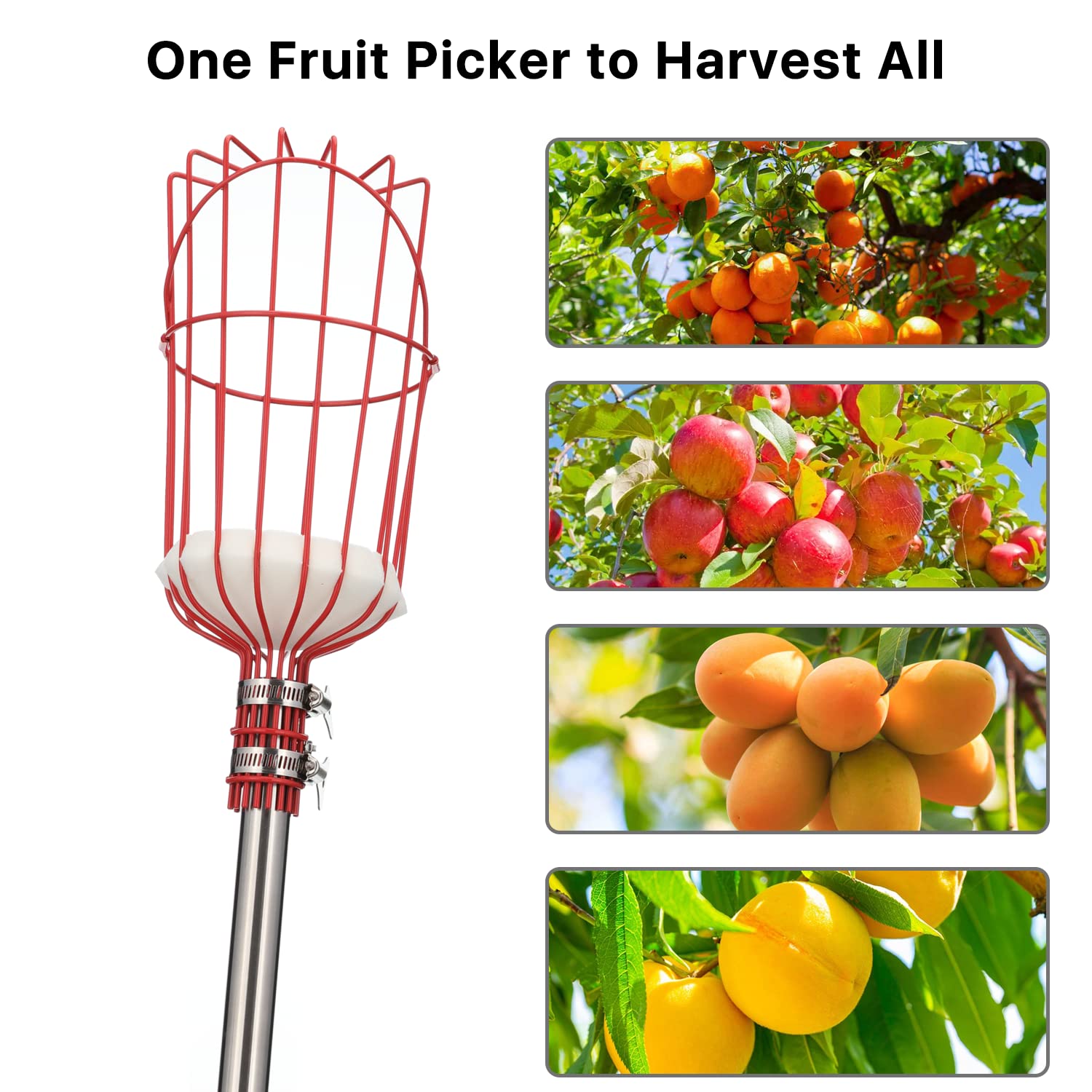 13 FT Adjustable Fruit Picker Pole with Large Basket - Metal Handle Gardening Tool for Apple, Orange, Mango & Apricot Trees - Includes Extra Fruit Carrying Bag - Perfect for Home Orchards, Backyard Harvesting & Commercial Fruit Picking