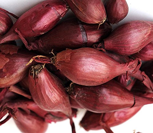 10 Sweet Red Onion Sets for Planting - Grow Fresh, Flavorful Onions at Home | Perfect for Gardens, Containers & Homegrown Vegetable Dishes