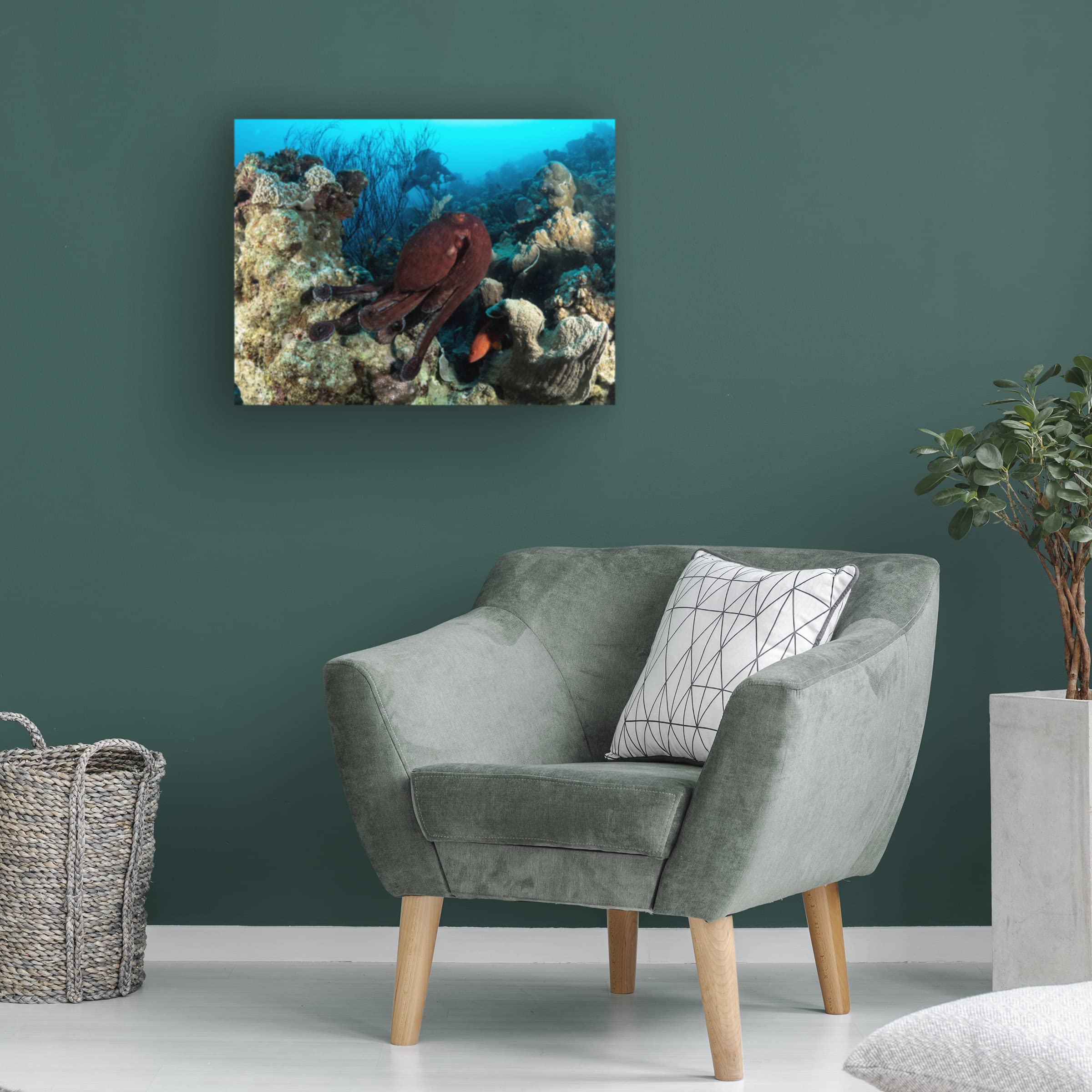 Trademark Fine Art 'Octopus Garden' Canvas Wall Art Print by Ilan Ben Tov - Perfect for Living Room, Bedroom & Office Decor