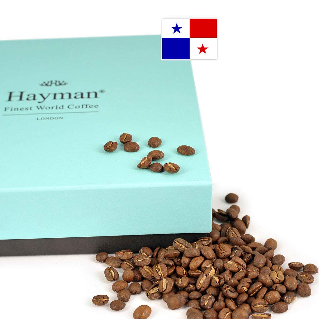 Premium 100% Panama Geisha Coffee Beans - Whole Bean Medium Roast 24oz | Fresh Roasted Panamanian Gesha Coffee for Home Brewing & Specialty Coffee Lovers
