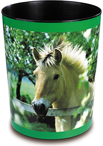 Pferd am Weidezaun
