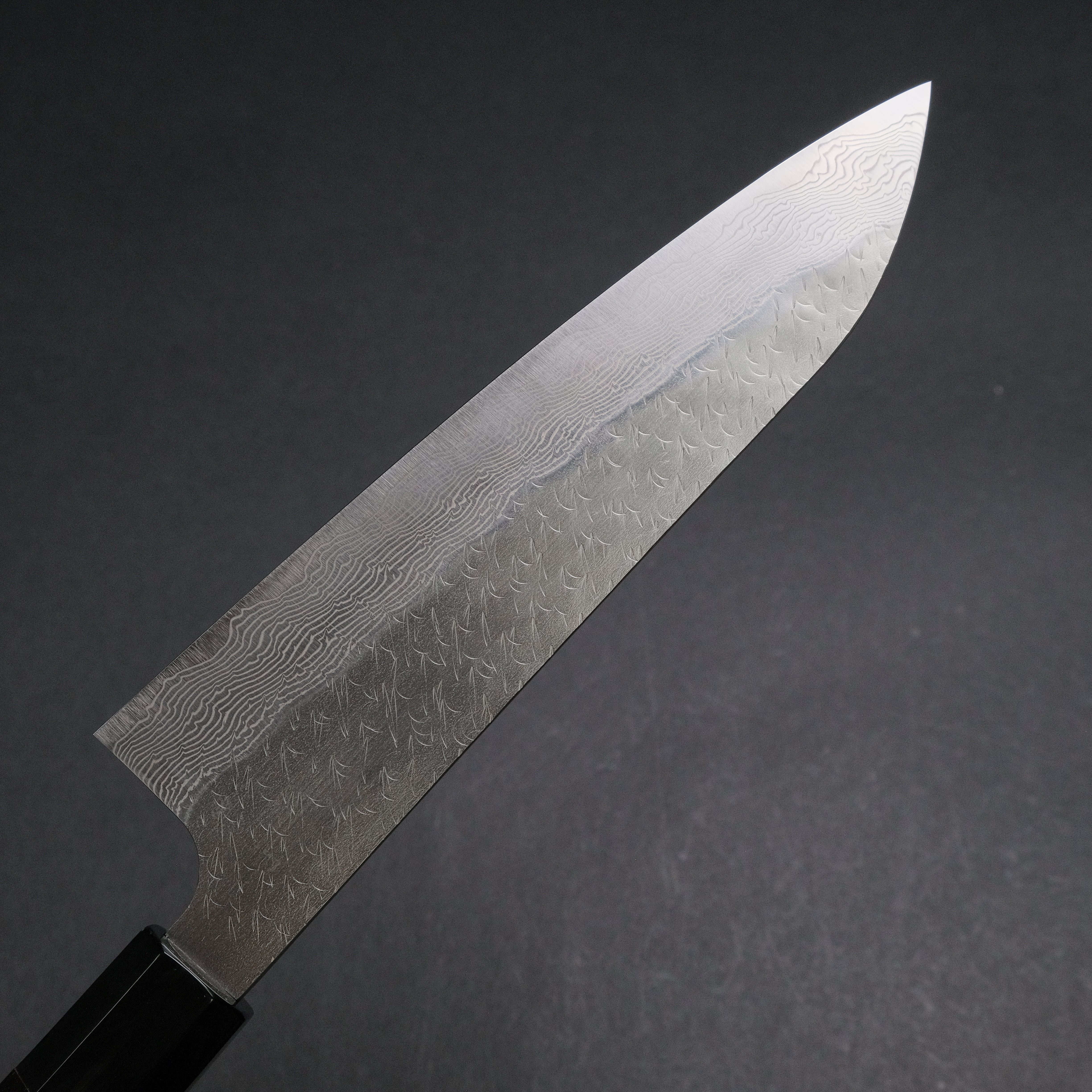 Nigara SG STRIX Gyuto 210mm Japanese Chef Knife with Premium Ebony Handle - Perfect for Sushi, Meat Cutting & Professional Kitchen Use