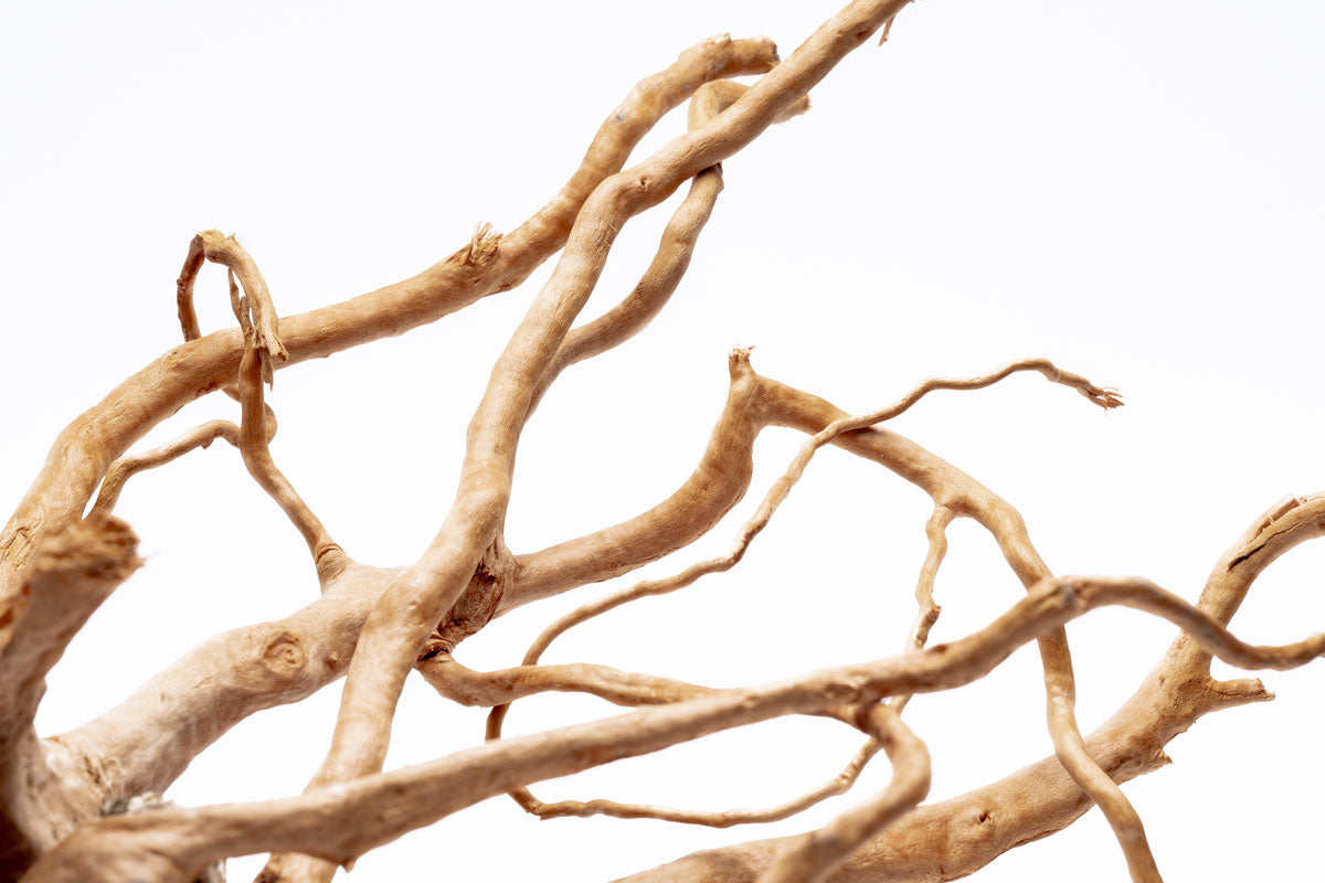 Natural Spider Wood on Slate Stone Aquarium Decor - Perfect for Fish Tanks, Terrariums & Reptile Habitats