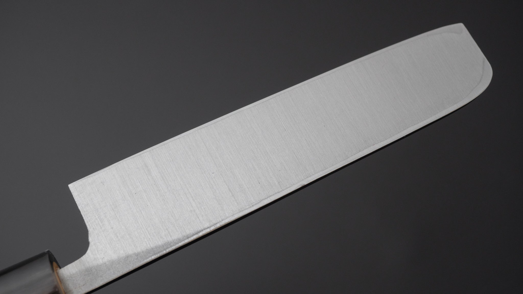 Hitohira Tosa Kurouchi Nagoya Saki 105mm Japanese Kitchen Knife with Ho Wood Handle - Perfect for Sushi, Sashimi & Precision Cutting