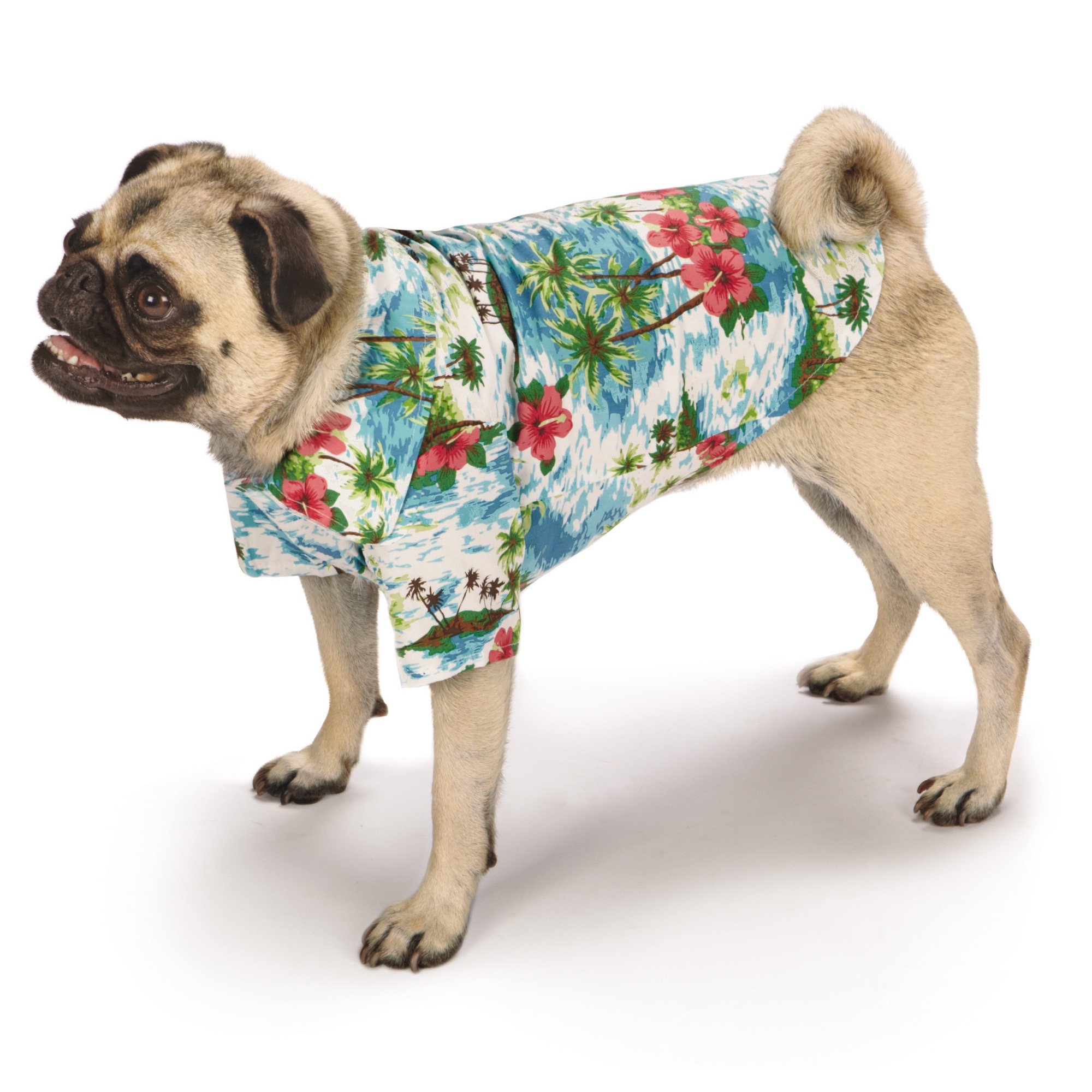 Pet Shirts for Dogs & Cats - Comfortable Camp Style Tee in Blue, Small & Medium Sizes | Perfect for Outdoor Adventures, Hiking & Playtime