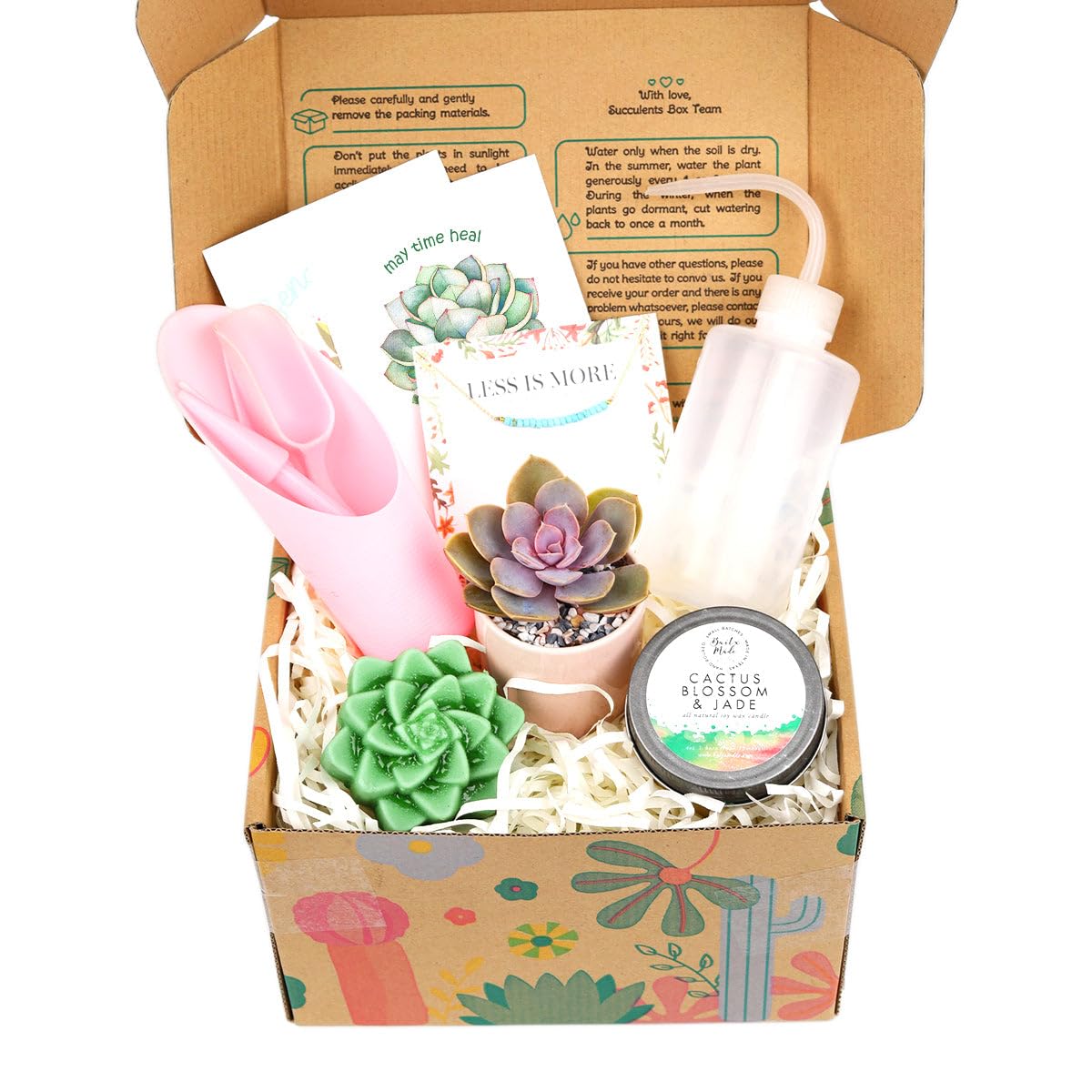 Premium Succulent & Air Plant Gift Box for Women - Personalized Plant Lover Gift Set - Unique Holiday & Birthday Present - Home Office Desk Decor & Housewarming Gift Idea