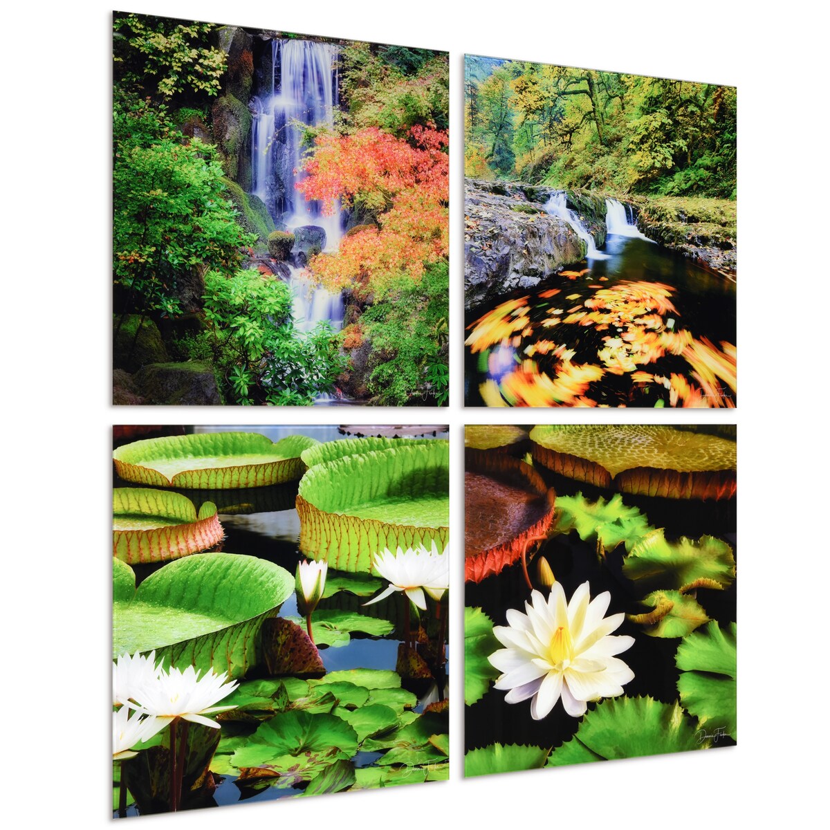 Amazon's Water Lilies Frameless Floating Reverse Printed Tempered Glass Wall Art - Nature Scenes for Living Room, Bedroom & Office Decor