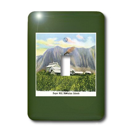 3D Printed Sugar Mill Hawaiian Islands with Mountains Light Switch Cover - Tropical Home Decor for Kitchen, Bathroom & Bedroom