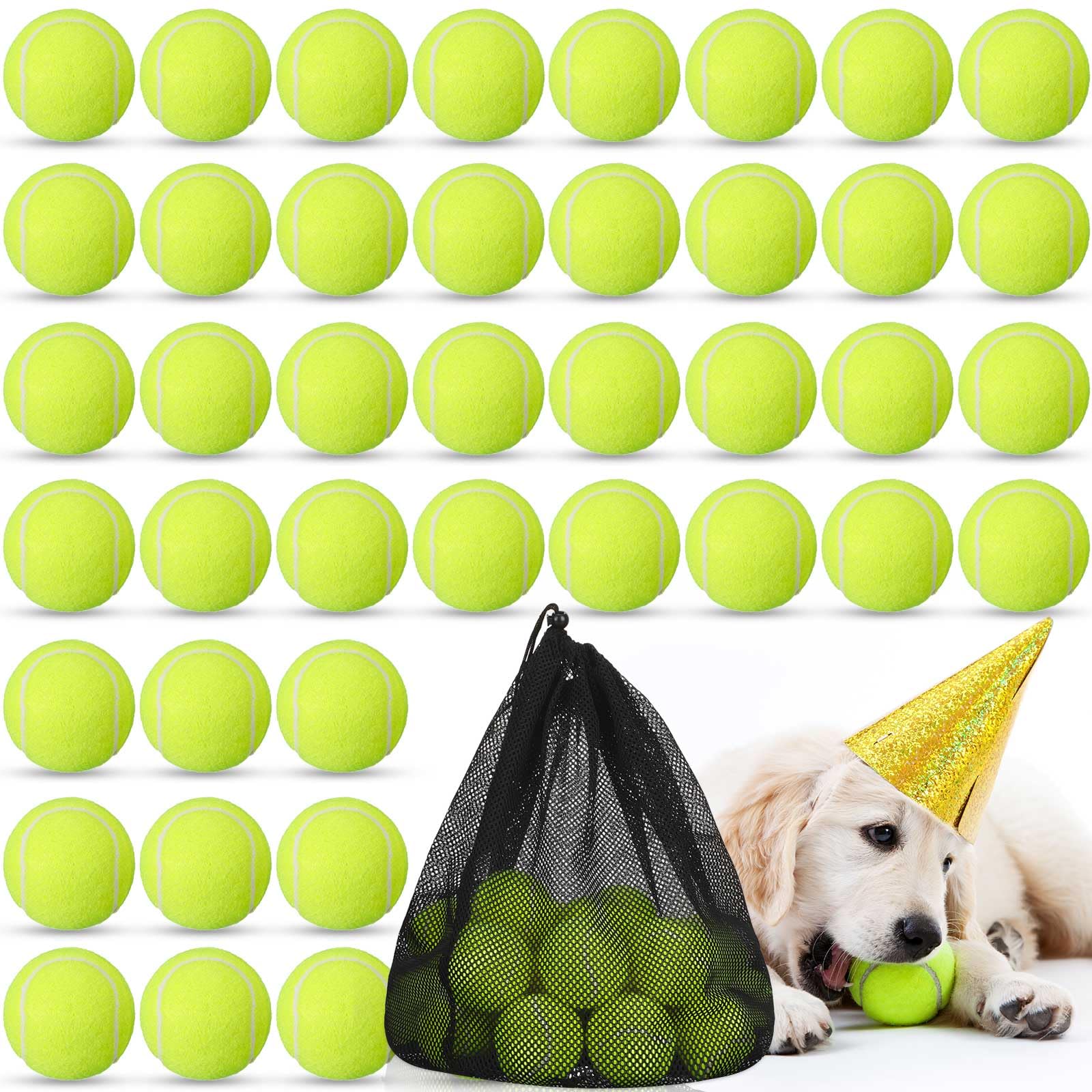 50 Pack Dog Tennis Balls - 2.5 Inch Durable Rubber Pet Training Balls for Interactive Play, Fetch & Exercise - Includes Mesh Storage Bag - Perfect for Beginners, Outdoor Games & Dog Training Sessions