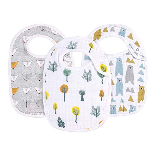 Bear, Hedgehog, Tree
