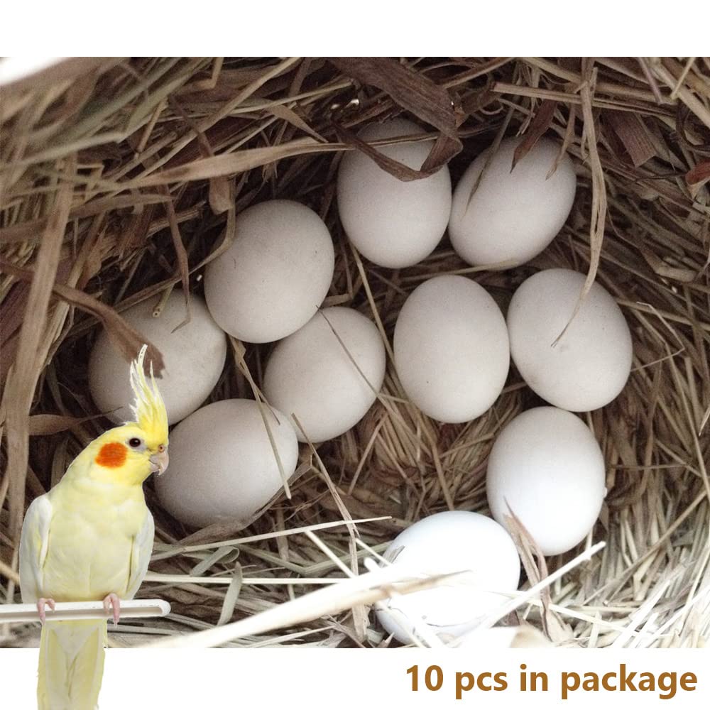 MESINURS 10-Pack Solid Plastic Eggs for Parrots - Stop Birds from Laying, Hatching Replacement Eggs | Perfect for Bird Breeding, Nesting Control & Training | Ideal for Aviaries, Pet Stores & Bird Owners