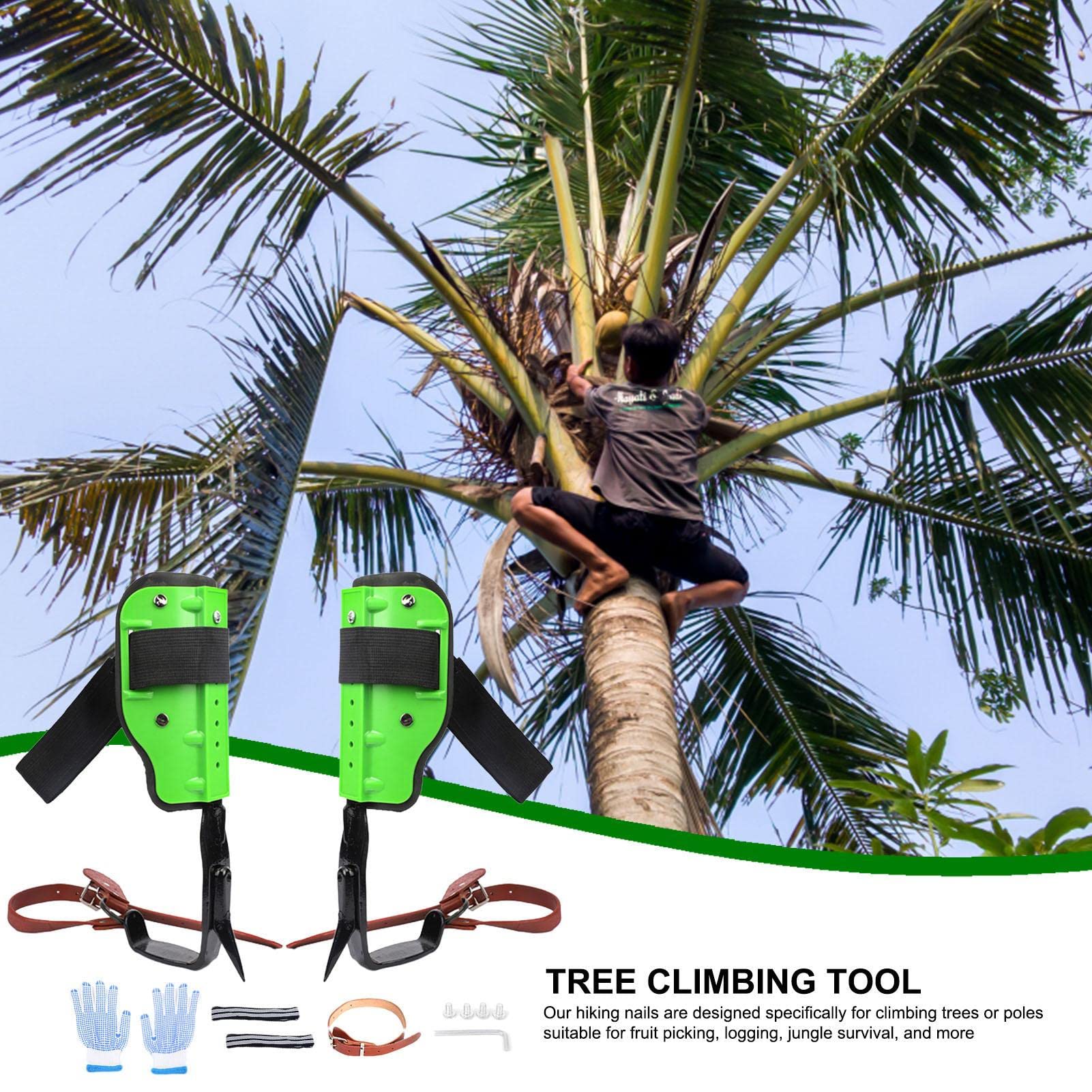 Tree Climbing Spikes - Anti-Slip Steel Climbing Gear for Outdoor Use | Adjustable & Comfortable Climbing Spurs for Hunting, Jungle Survival, Logging & Arborist Work | Perfect for Professional Tree Climbers & Pole Work