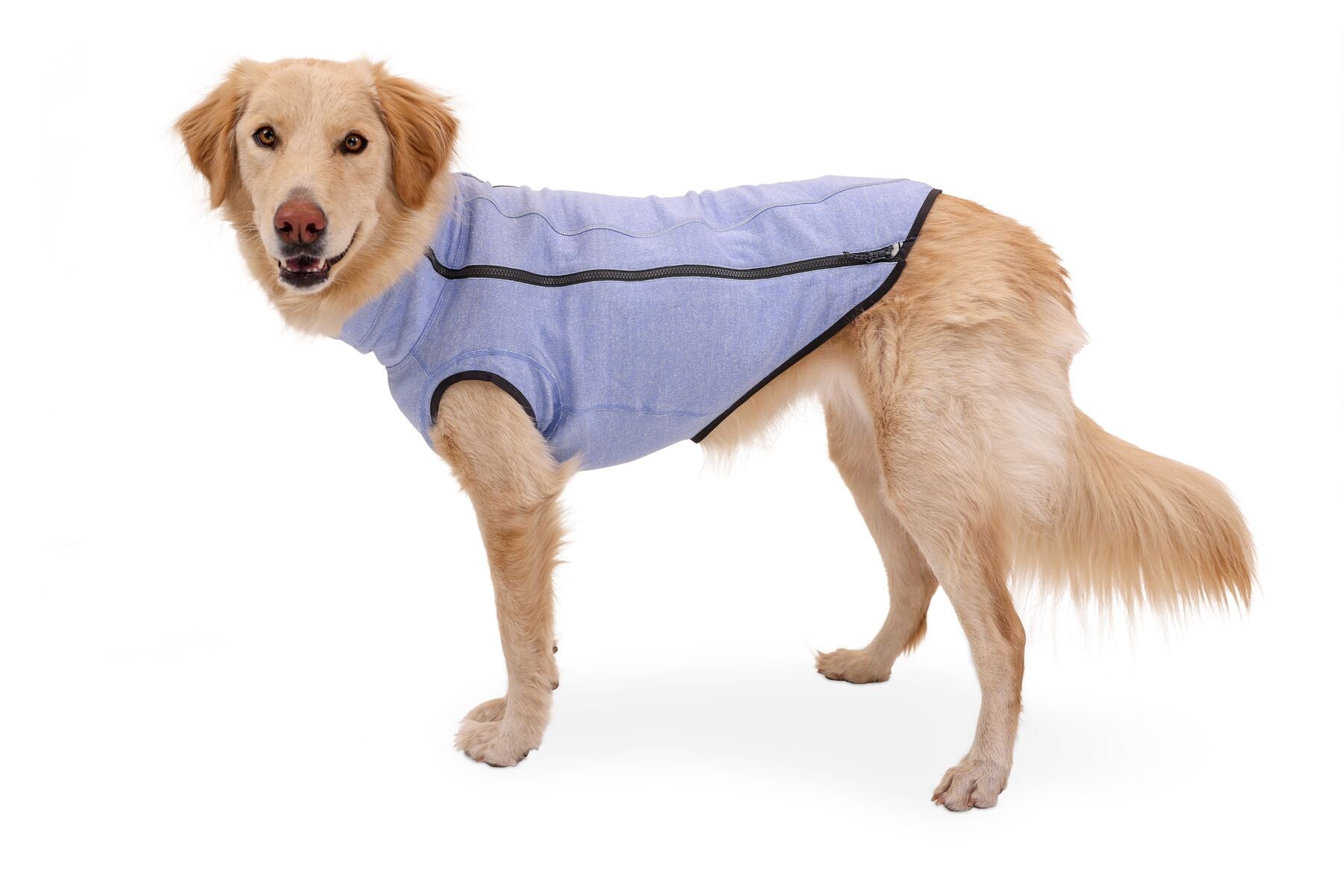 Ruffwear Hemp Hound Knit Dog Sweater - Slate Blue | Warm & Durable Hemp Blend | Perfect for Cold Weather Walks & Outdoor Adventures