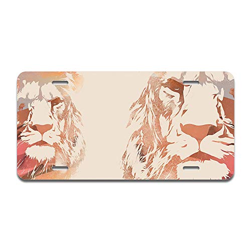 Desert Lion