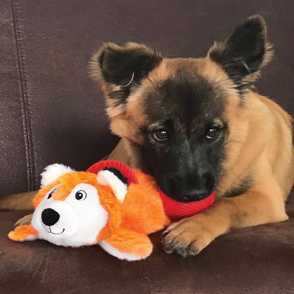 Zorro Cozie® Pocketz Dog Toy with 2 Removable Balls - Soft Plush Chew Toy for Dogs by Kong - Perfect for Playtime, Training & Anxiety Relief