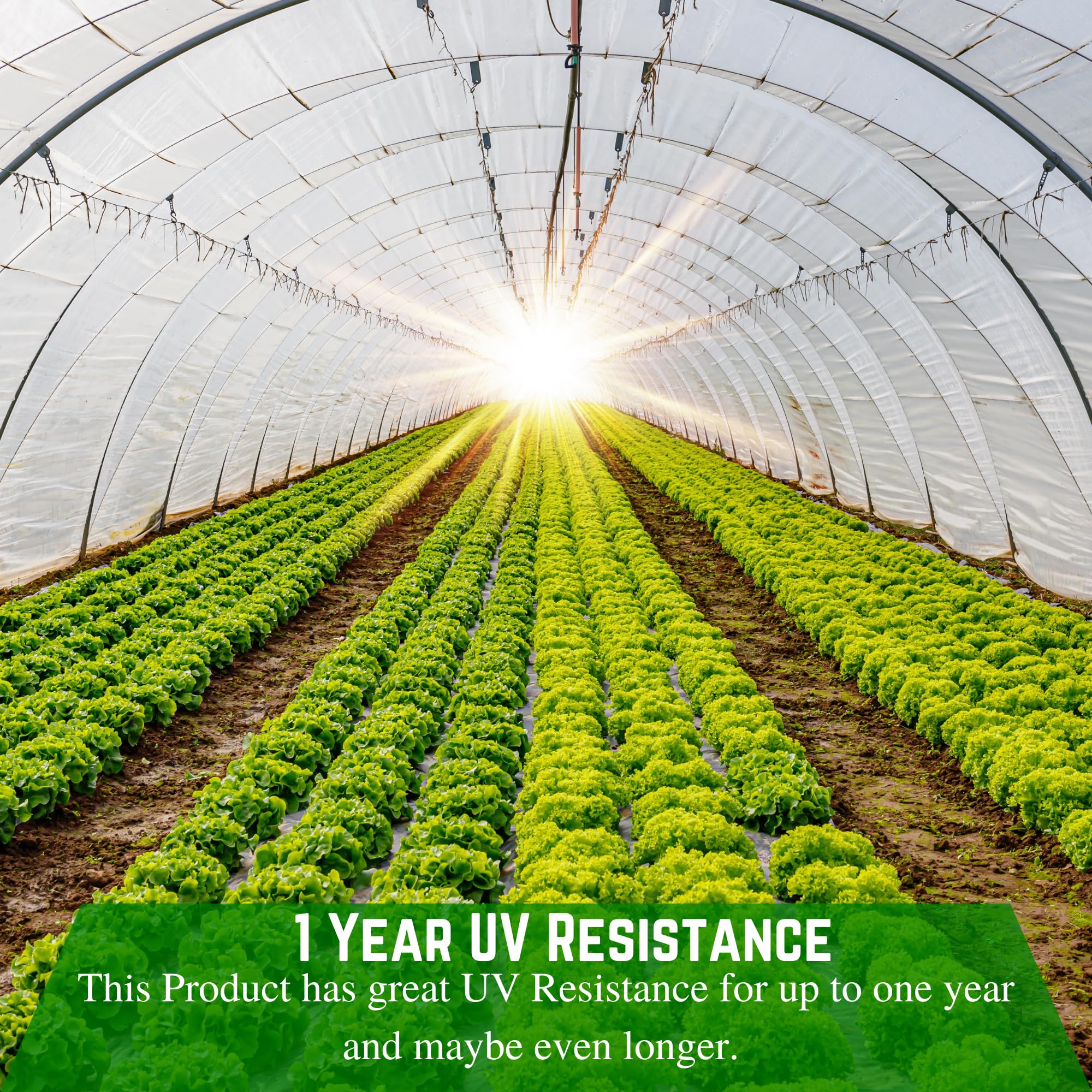 Clear Greenhouse Plastic Sheeting 6 mil - 1 Year UV Resistant Polyethylene Film for Hoop House, Gardening & Farming - 25' x 50' | Durable Greenhouse Cover for Vegetables, Flowers & Plant Protection