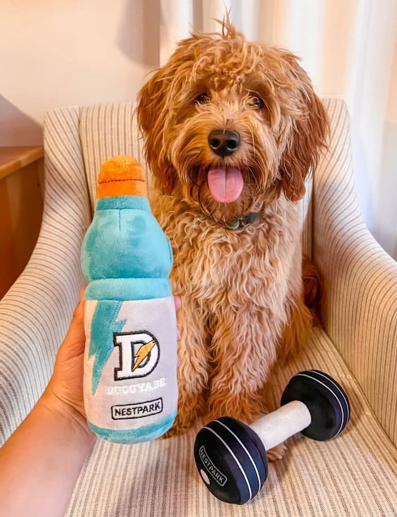 Doggyade - Funny Dog Toys for Fitness & Workout | Cute Parody Pet Toy for Dogs | Perfect for Playtime, Training & Exercise