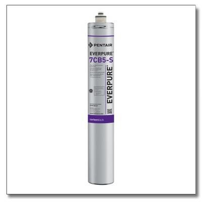 Everpure 9618-21 Replacement Undersink Water Filter - High Performance Carbon Filtration System for Clean Drinking Water - Perfect for Home, Office, and RV Use