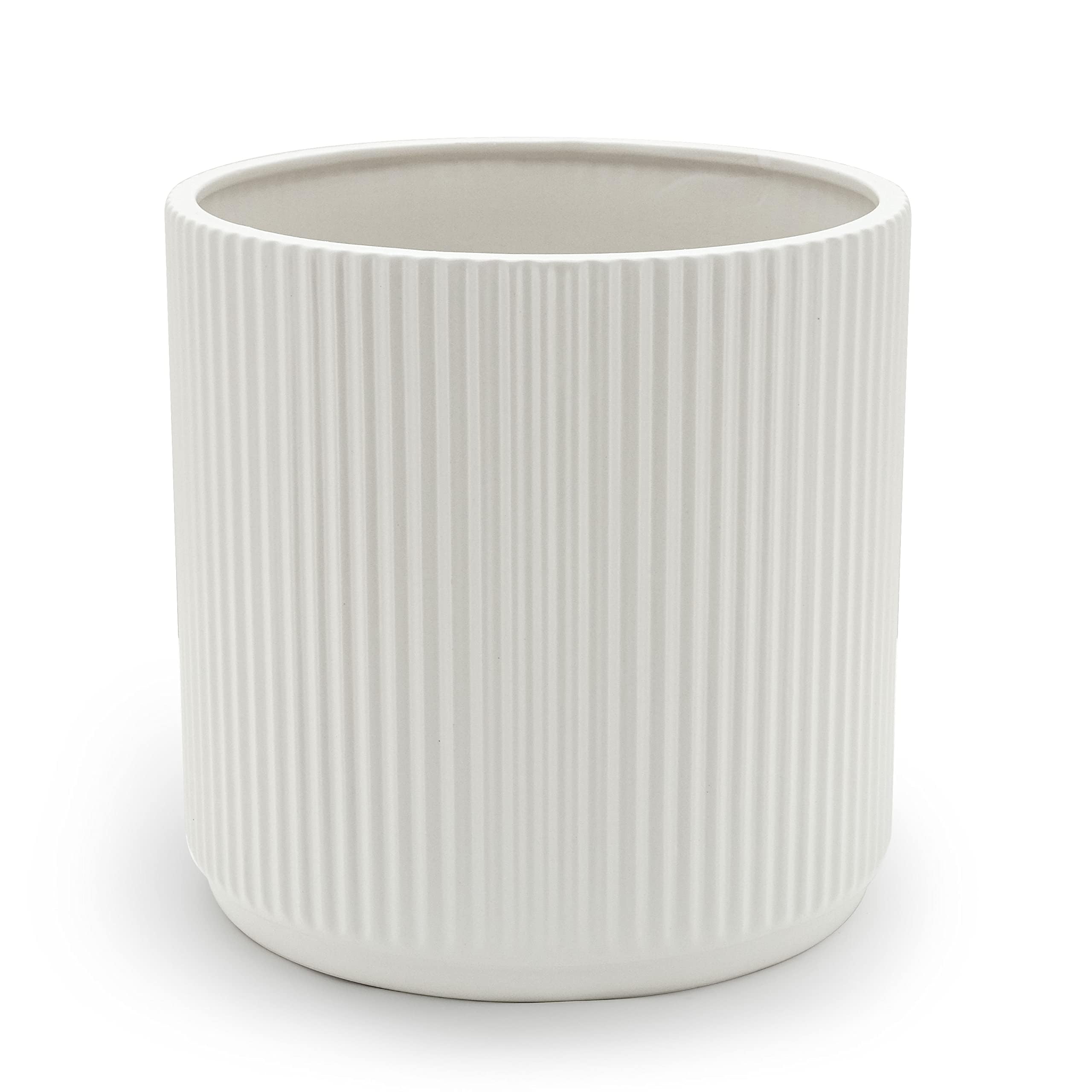Amazon Basics Fluted Ceramic Round Planter - 10 Inch White Flower Pot for Indoor Plants, Outdoor Garden Decor, Home & Office Decoration