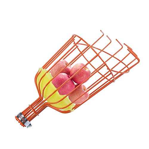 MISNODE Twist-On Fruit Picker Basket - Apple Picking Harvester Tool with Soft Cushion for Gentle Fruit Harvesting (Head Only, No Pole Included) | Perfect for Orchard Harvesting, Backyard Fruit Trees, and Home Gardening