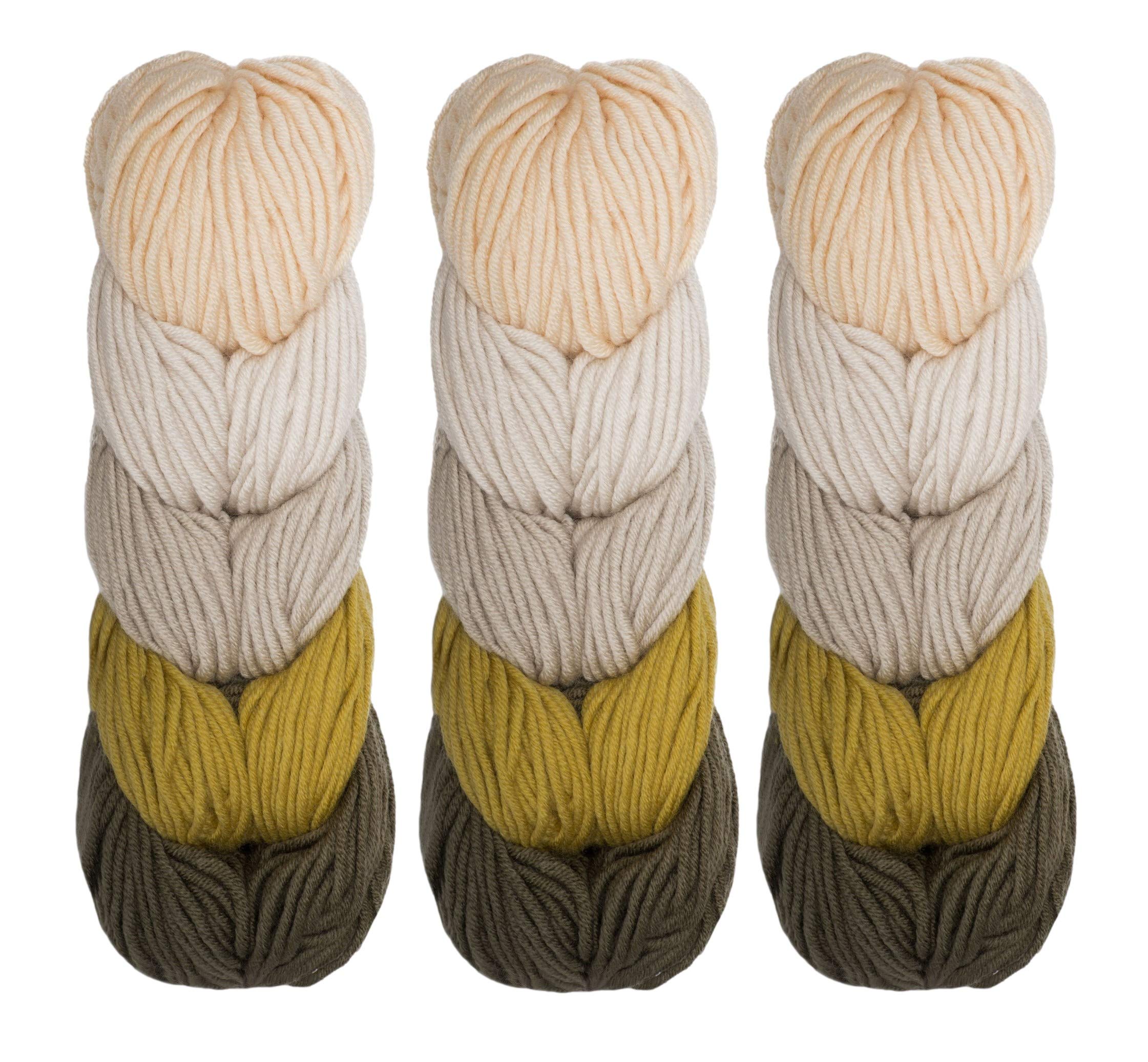 Premium Caron X Pantone Merino Blend Yarn 3-Pack - Olive Oil Color | Soft Knitting & Crochet Yarn for Scarves, Sweaters & DIY Crafts