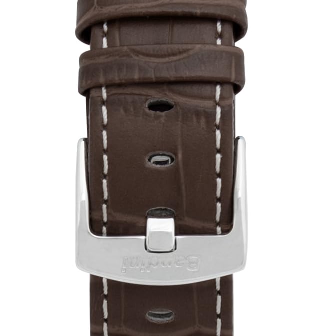 2 - Brown and White / Silver Buckle