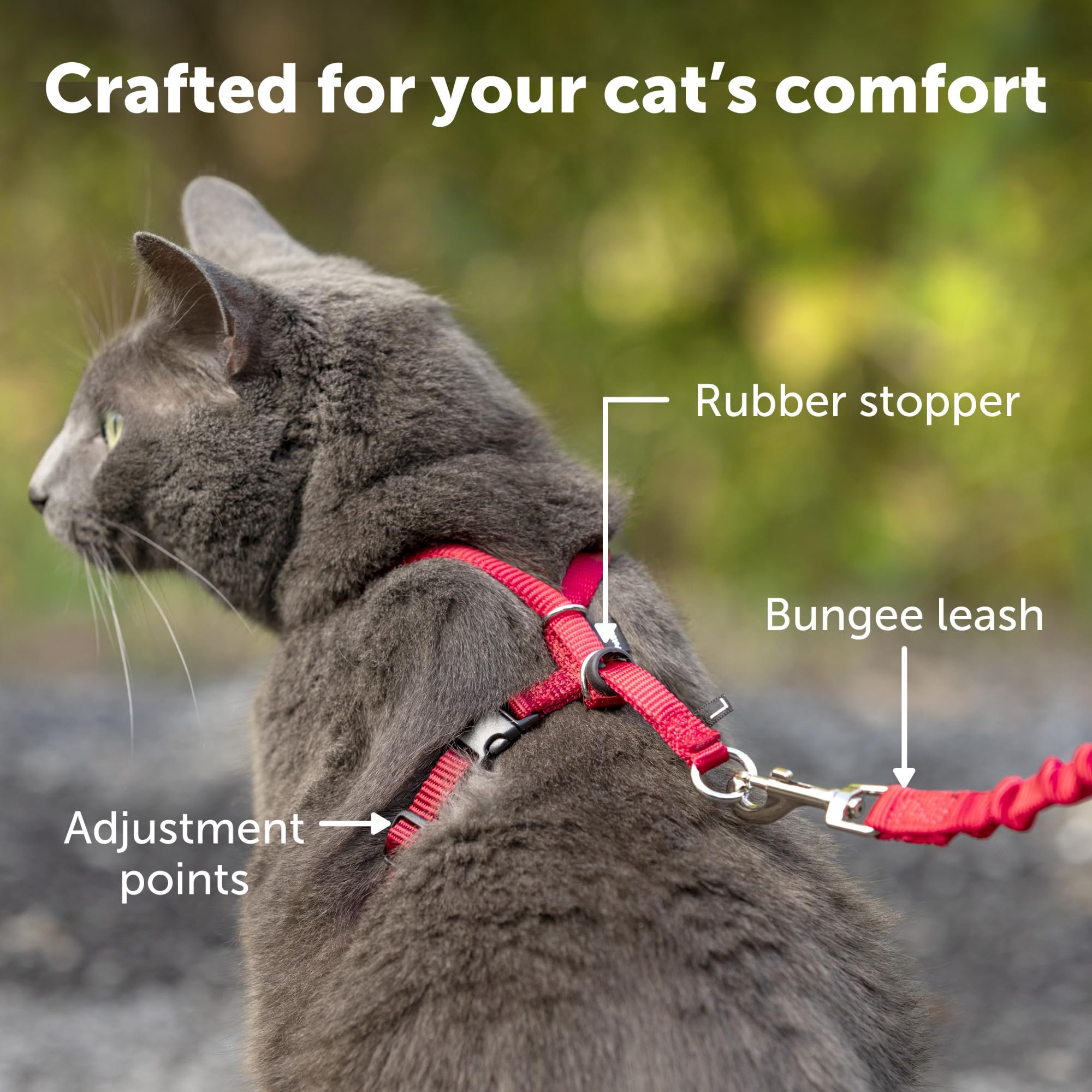 PetSafe Come with Me Kitty Harness & Bungee Leash for Cats - Medium Size, Dusty Rose - Safe Outdoor Walking & Training for Small Pets