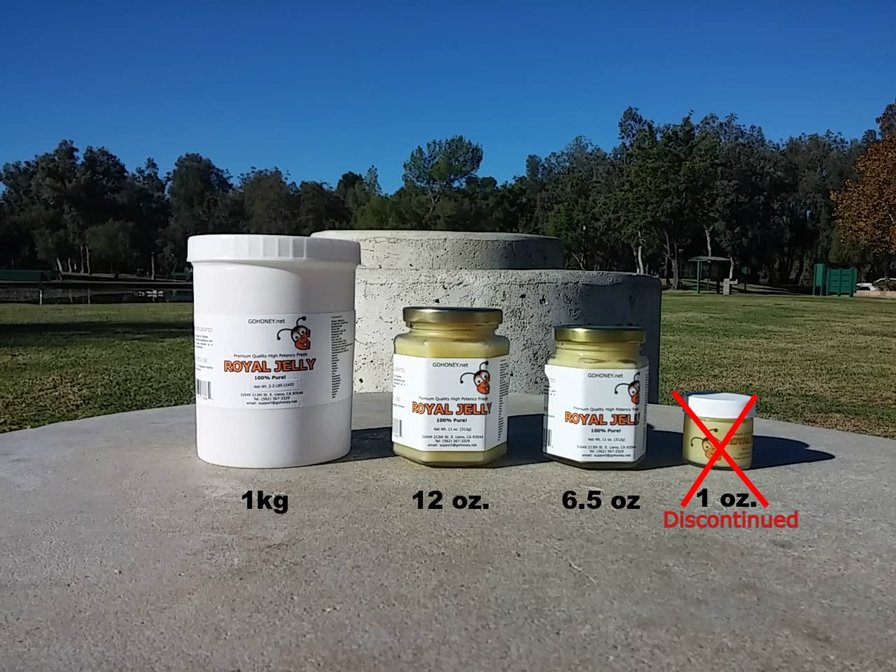 100% Pure Organic Fresh Royal Jelly Raw Unprocessed Natural High Potency - 12 oz Jar | Immune Support, Skin Care & Energy Boost | Perfect for Smoothies, Face Masks & Daily Wellness