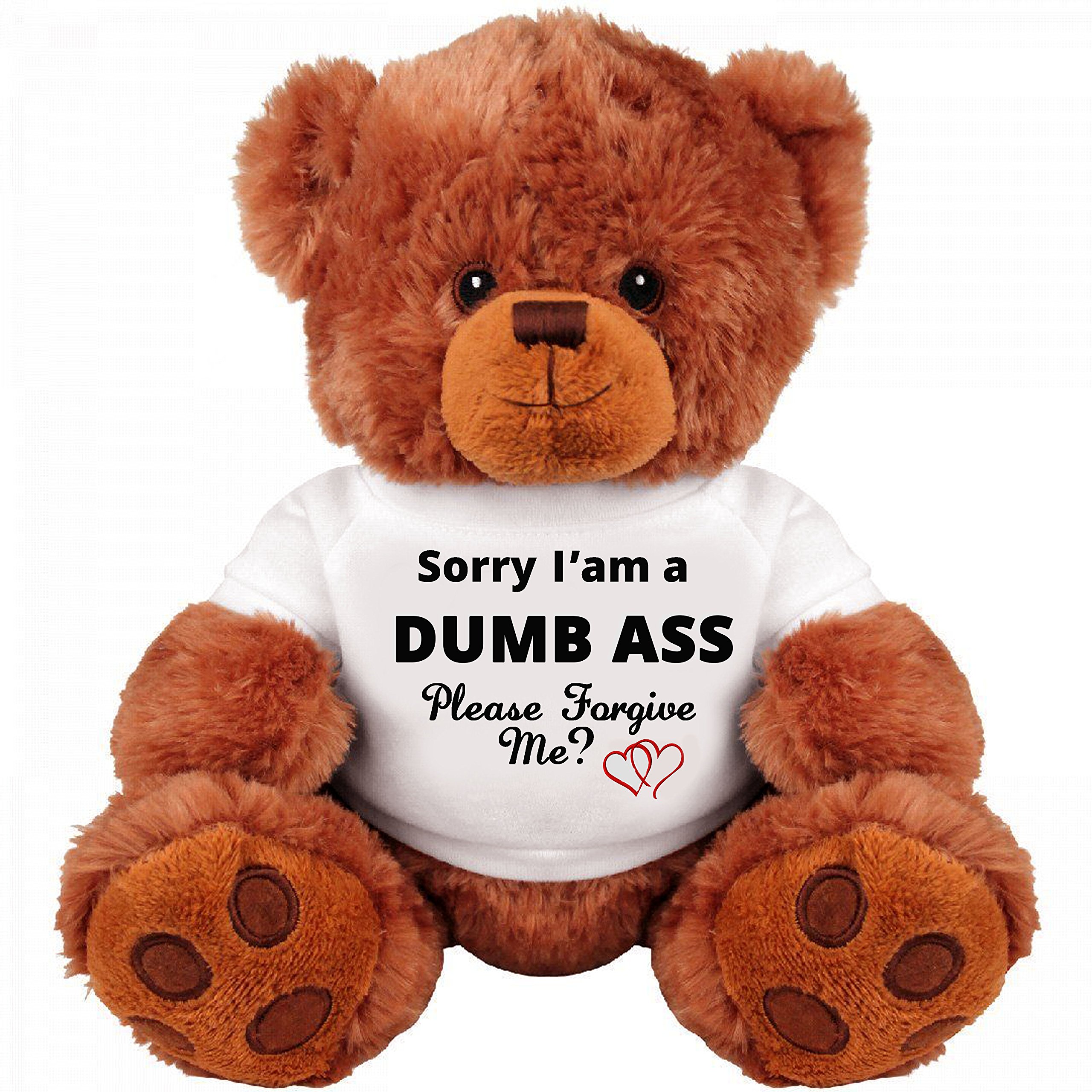 Funny 'Sorry and Forgive Me' Teddy Bear Couple Gift - Medium Plush Stuffed Animal for Apology, Anniversary & Romantic Occasions