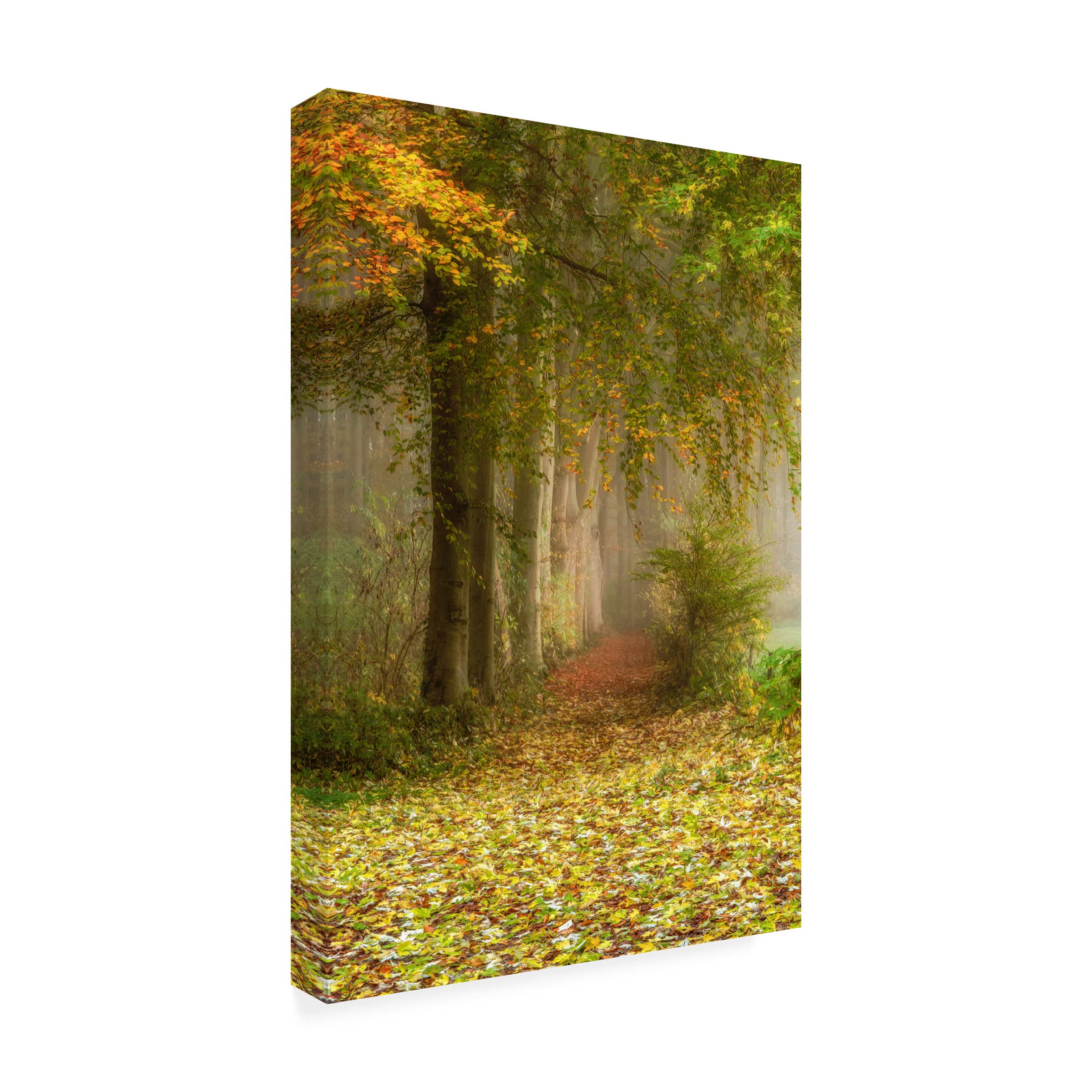 Trademark Fine Art 'Poetree' Canvas Art Print by Lars Van de Goor - Nature Landscape Wall Decor for Living Room, Bedroom & Office