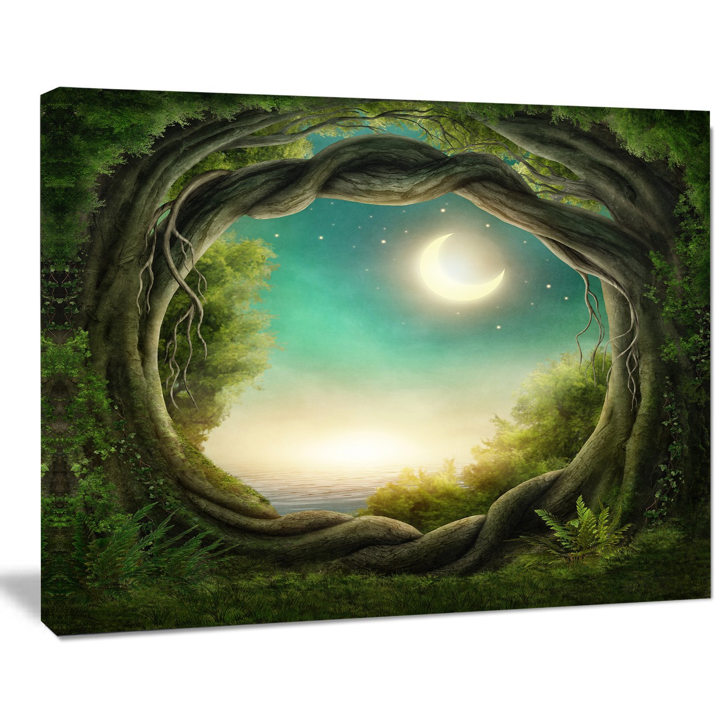 Enchanted Dark Forest Landscape Photography Canvas Print - Nature Wall Art for Home & Office Decor