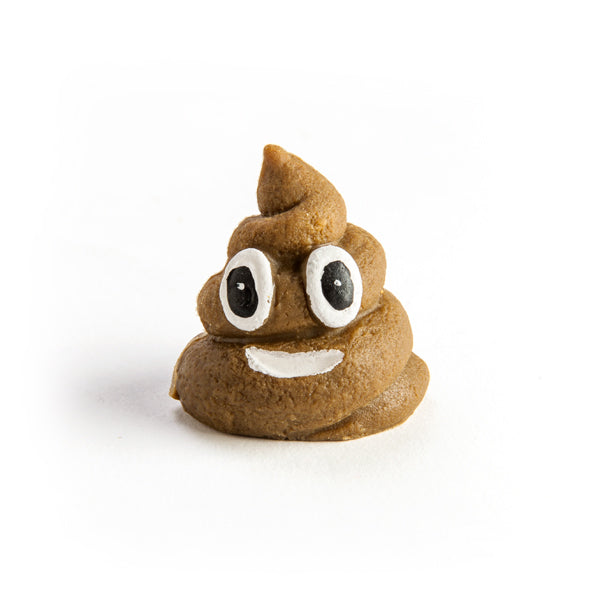 Funny Smiling Poo Plant Kit - Grow Your Own Novelty Houseplant for Home Decor, Office Desk & Gag Gifts | Unique Gardening Gift Idea for Adults & Friends