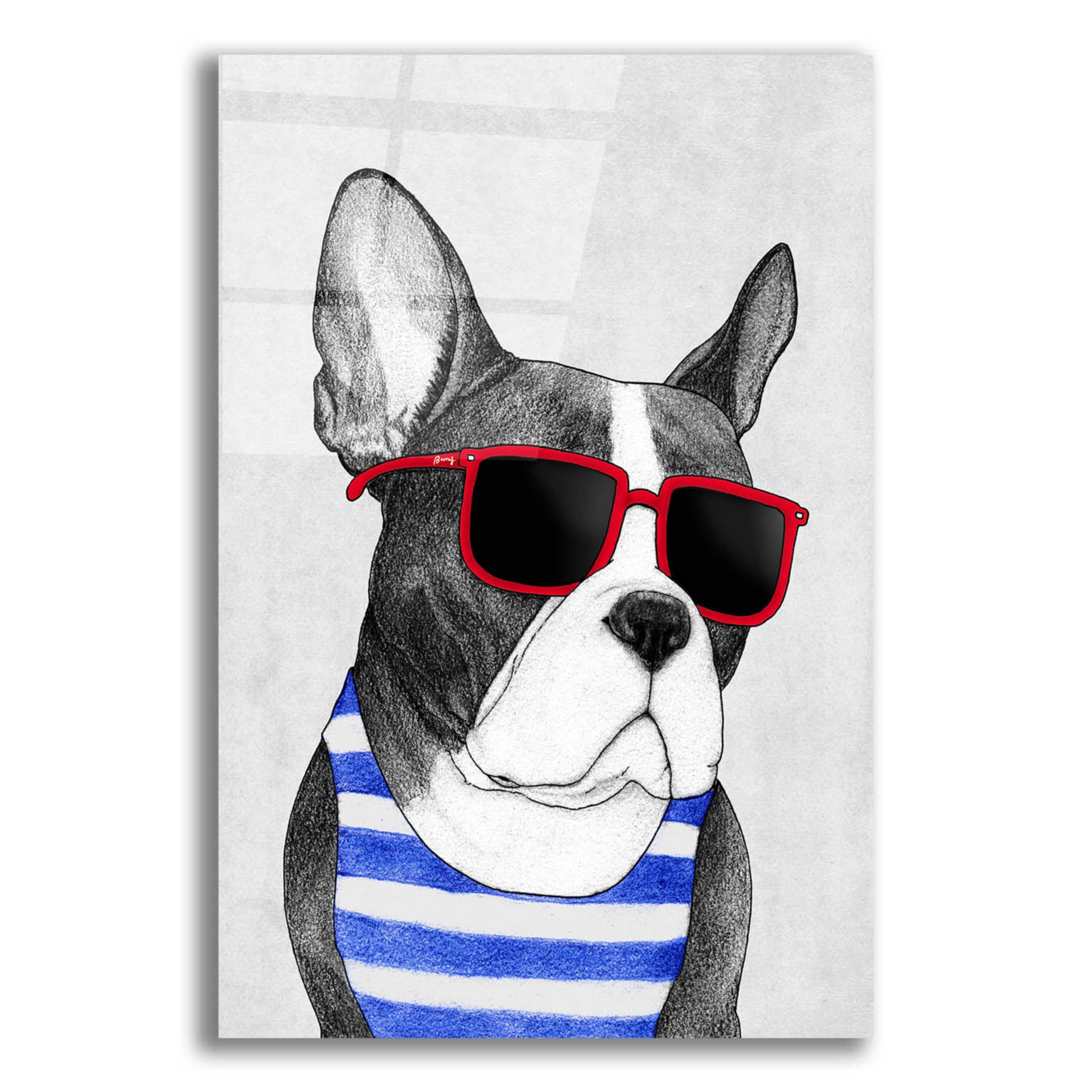 Barruf Acrylic Glass Wall Art - 'Frenchie Summer Style' Modern Dog Painting, 16x24 Inches, Vibrant Home Decor for Living Room, Bedroom & Office
