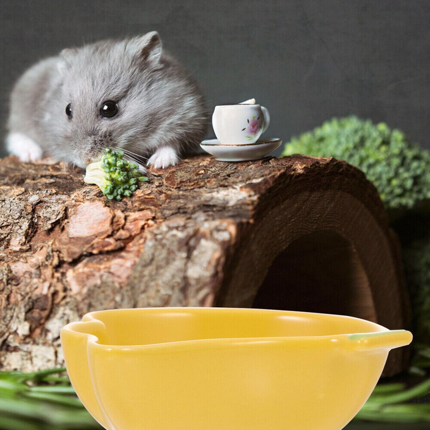 2 Pack Ceramic Pet Food Bowls - Cute Cartoon Banana Design Small Animal Feeder for Hedgehog, Guinea Pig, Hamster | Durable Water & Food Dish for Kittens, Perfect for Home, Travel & Outdoor Use