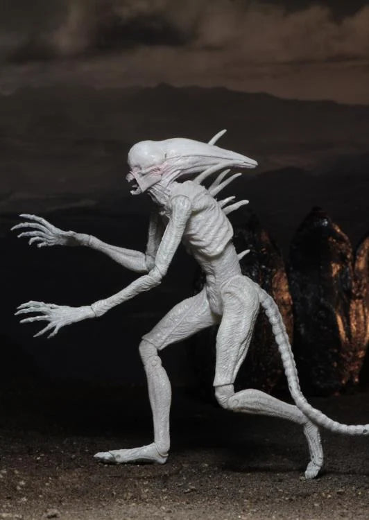 Alien: Covenant Neomorph Action Figure - Collectible Movie Merchandise for Sci-Fi Fans | Perfect for Display, Cosplay & Gift Giving