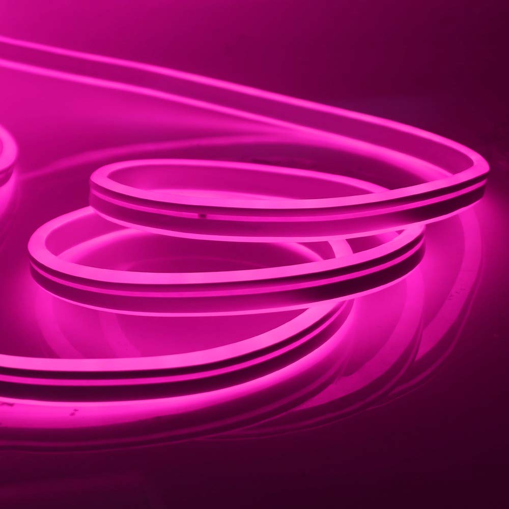 XUNATA LED Neon Light Strip - Dimmable 110-120V Flexible Rope Light with Remote, 120 LEDs/M, 9.9ft Waterproof 2835 SMD for Party, Wedding, Bedroom, Bar & Home Decoration (Pink)