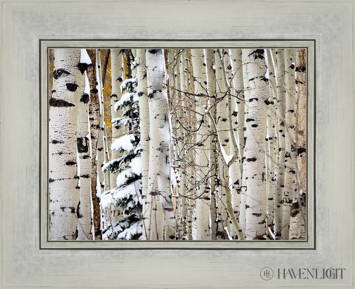 Christmas Around the Corner - Stunning Guardsman Pass Landscape Photo Print - Park City Utah Wall Art - Perfect for Holiday Home Decor & Winter Gift Ideas