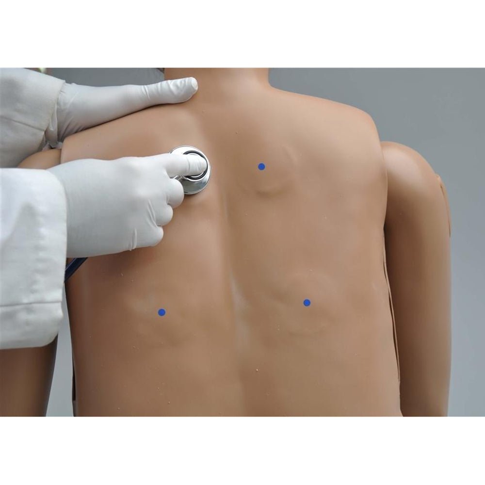 Upgraded Heart and Lung Sounds Auscultation Kit for Medical Training Manikins - Perfect for Nursing Students & Healthcare Professionals Practice