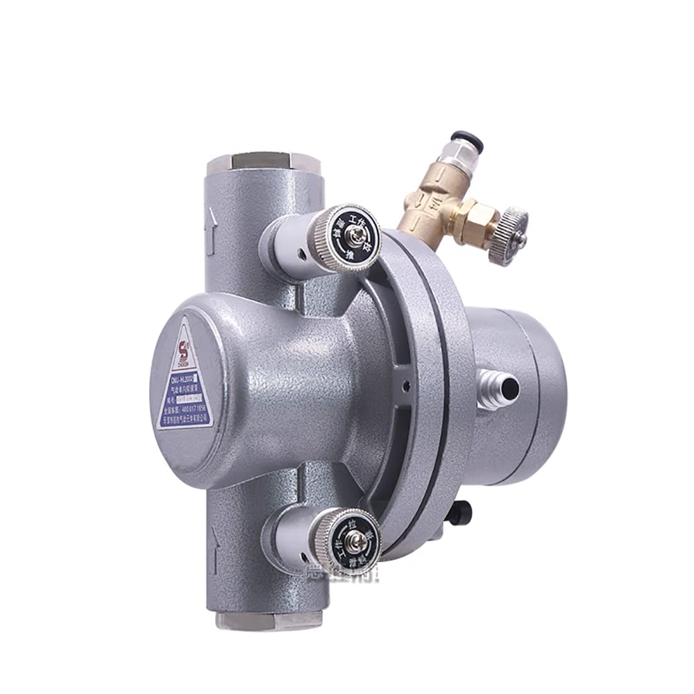 iDili Single Way Pneumatic Diaphragm Pump 15L/MIN for Water-Based Ink Printing Machine - G3/8 Port, 0.2-0.5Mpa Pressure - Ideal for Industrial Printing, Ink Transfer & Fluid Handling Applications
