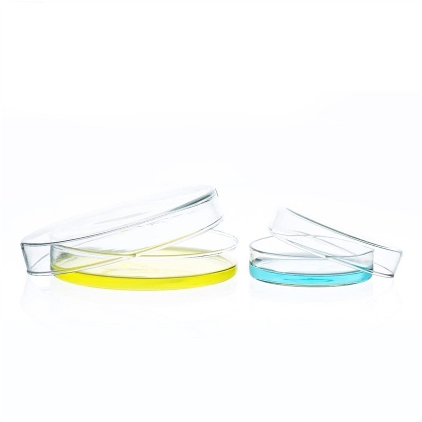 100mm Borosilicate Glass Petri Dishes with Lids - 8 Pack, 100x23mm Heat Resistant Lab Dishes for Bacterial Culture & Science Experiments - Ideal for Microbiology, School Labs & STEM Education