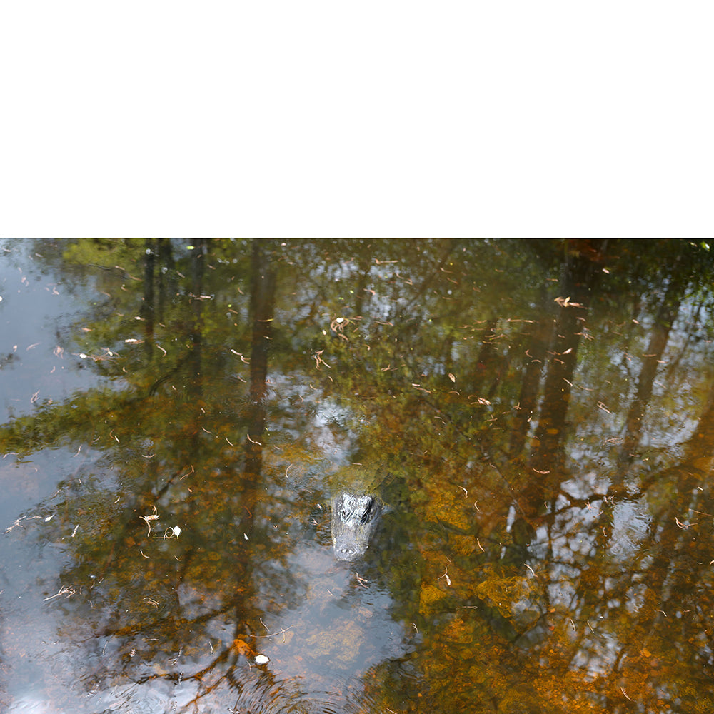Leica Lounge & Book Signing Event: Conversation with Lisette Morales McCabe & Aldeide Delgado | April 28, 2023 | Photography Enthusiasts Gathering
