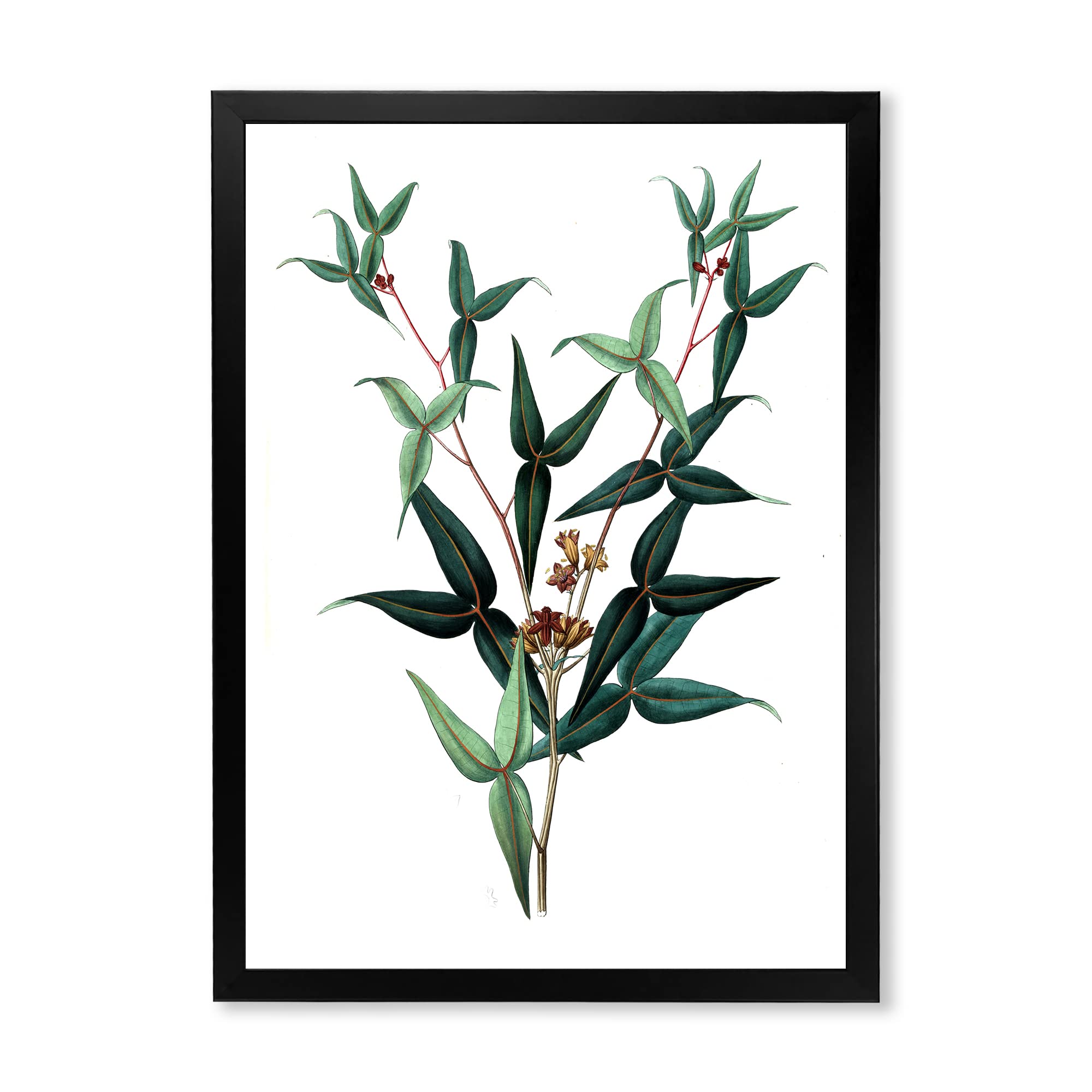 Vintage Green Leaves Plants VIII Traditional Framed Wall Art - Botanical Home Decor for Living Room, Bedroom & Office